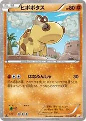 Hippopotas #13