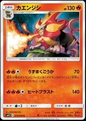 Pyroar #15