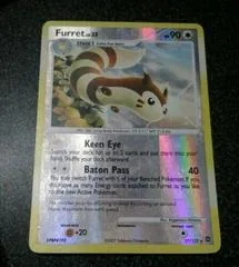 Furret #27