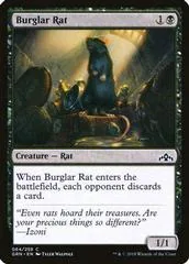 Burglar Rat #064