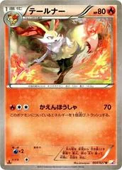 Braixen #4