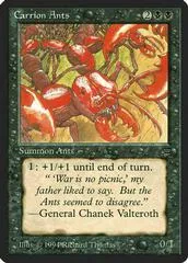 Carrion Ants
