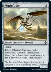 Pilgrim's Eye