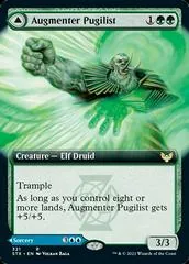 Augmenter Pugilist & Echoing Equation [Extended Art]