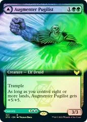 Augmenter Pugilist & Echoing Equation [Extended Art Foil]