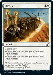 Fortify #18