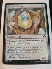 Mysterious Egg