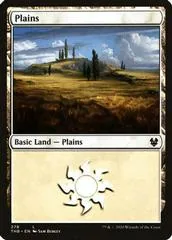 Plains #278