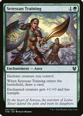 Setessan Training [Foil] #201