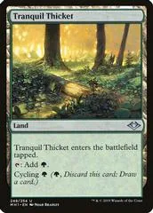 Tranquil Thicket #248