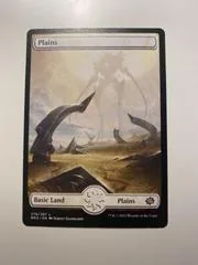 Plains