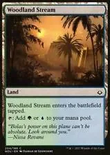 Woodland Stream