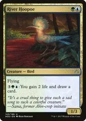 River Hoopoe #143