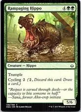 Rampaging Hippo