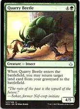Quarry Beetle #127