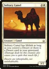 Solitary Camel #23