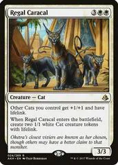 Regal Caracal #024