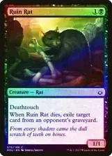 Ruin Rat [Foil]