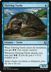 Thriving Turtle #66
