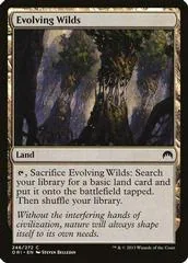 Evolving Wilds #246