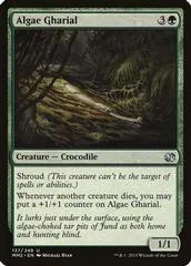 Algae Gharial #137