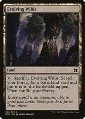 Evolving Wilds [Foil] #241