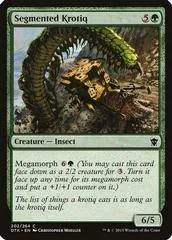 Segmented Krotiq #202