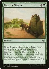 Map the Wastes #134