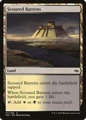 Scoured Barrens #171