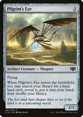 Pilgrim's Eye