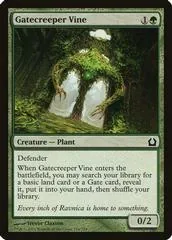 Gatecreeper Vine #124