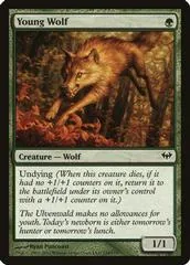 Young Wolf #134