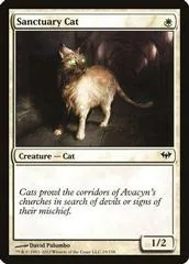 Sanctuary Cat #19