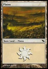 Plains #284