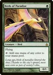 Birds of Paradise #153