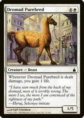 Dromad Purebred #15