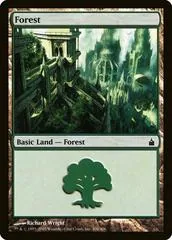 Forest #306
