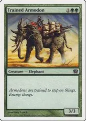 Trained Armodon