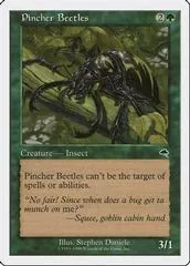 Pincher Beetles