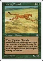 Hunting Cheetah