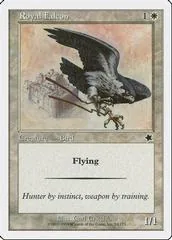 Royal Falcon