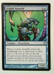 Cryptic Annelid