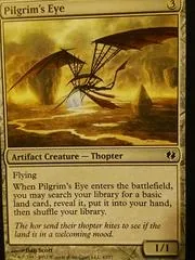 Pilgrim's Eye