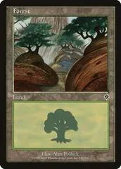 Forest #349