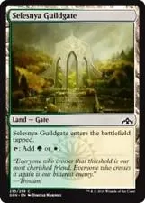 Selesnya Guildgate #255