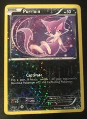 Purrloin #RC13