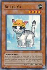 Rescue Cat FET-EN033