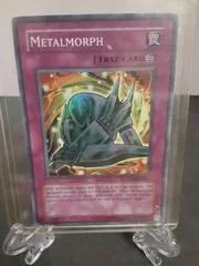 Metalmorph PP01-EN014