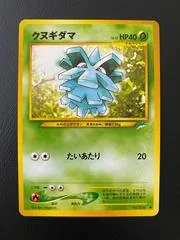 Pineco #204