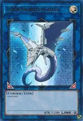 LANphorhynchus DUDE-EN021